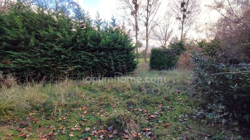 Terrain à MEZIERES-SUR-OISE