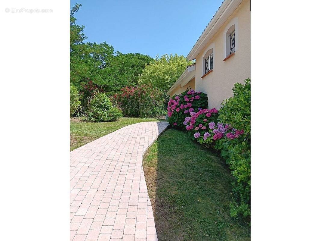 Maison à AIGREFEUILLE