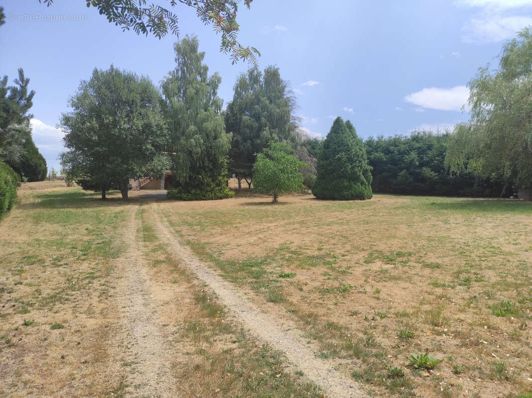 Maison de 1985 sur sous-sol complet avec grand terrain - photo 14