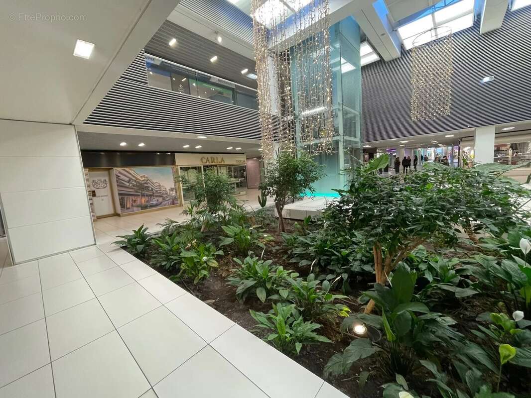 Cannes centre  gray murs et commerce - photo 3