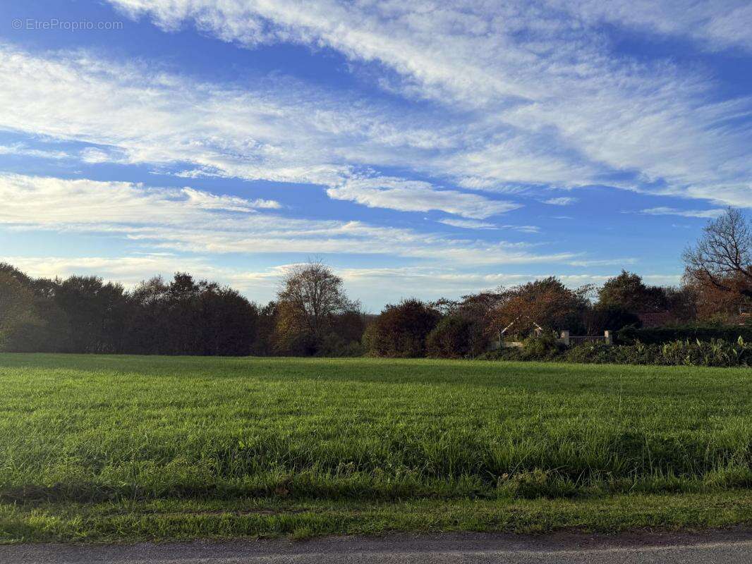 Terrain à BRASSEMPOUY