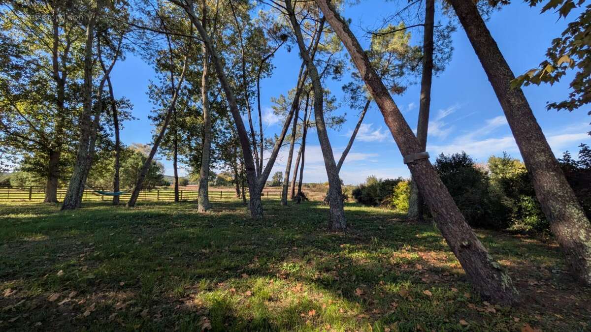 Maison à CASTELJALOUX