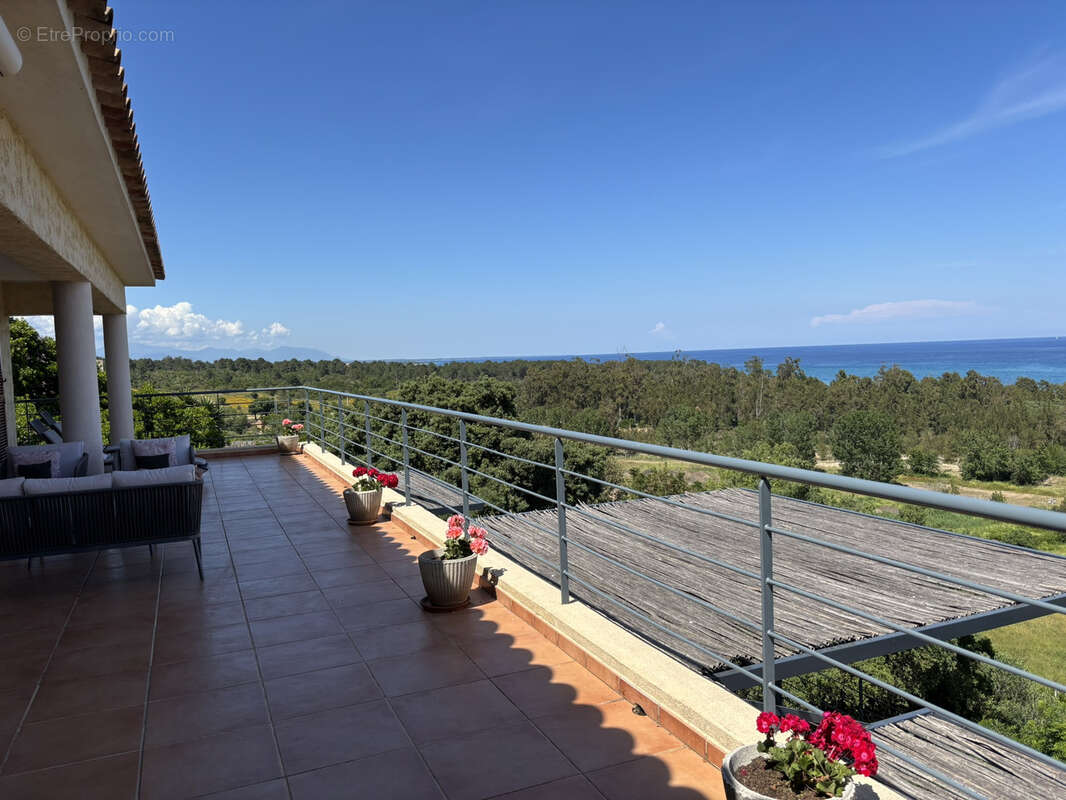 Maison à SARI-SOLENZARA