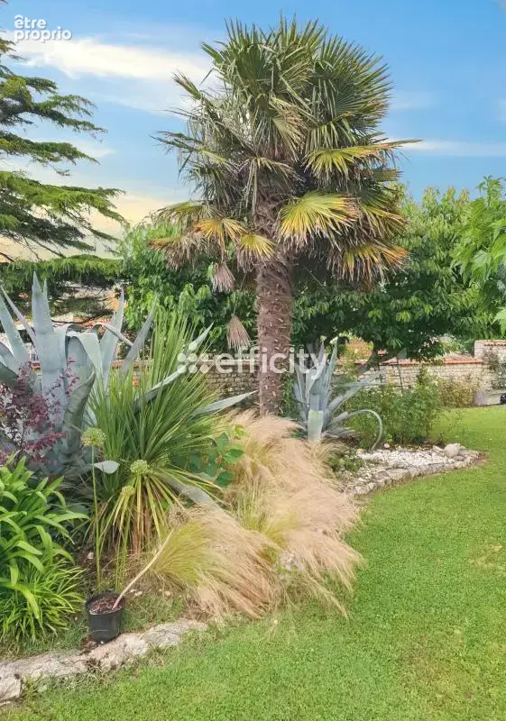 Maison 7 pièces 203 m² à vendre à Fouras (17450) - photo 16