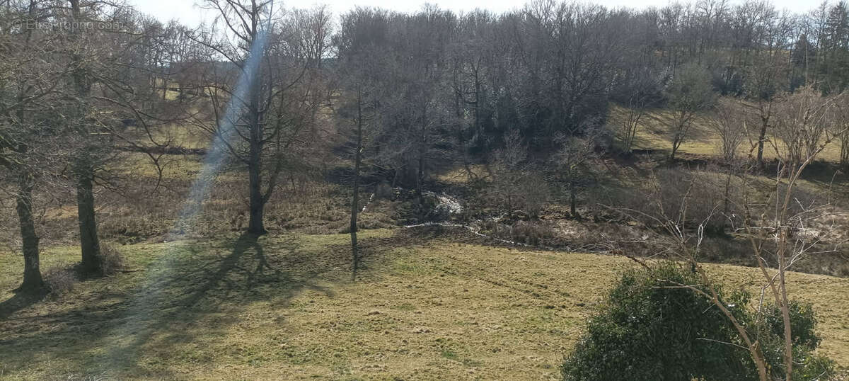 Maison à SAINT-PIERRE-BELLEVUE