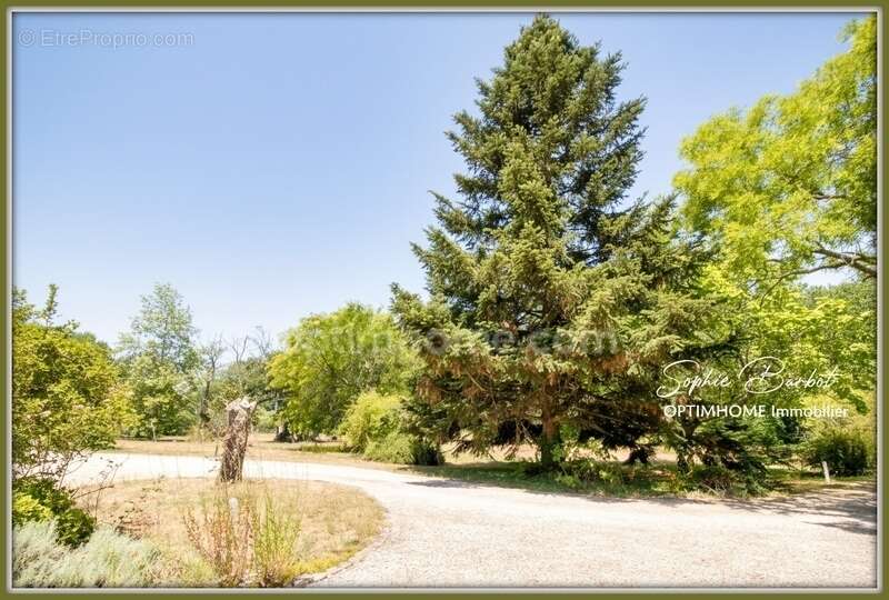 Exceptionnel à léognan, limite gradignan – propriété de caractère sur plus de 1,3 hectare de nature - photo 32