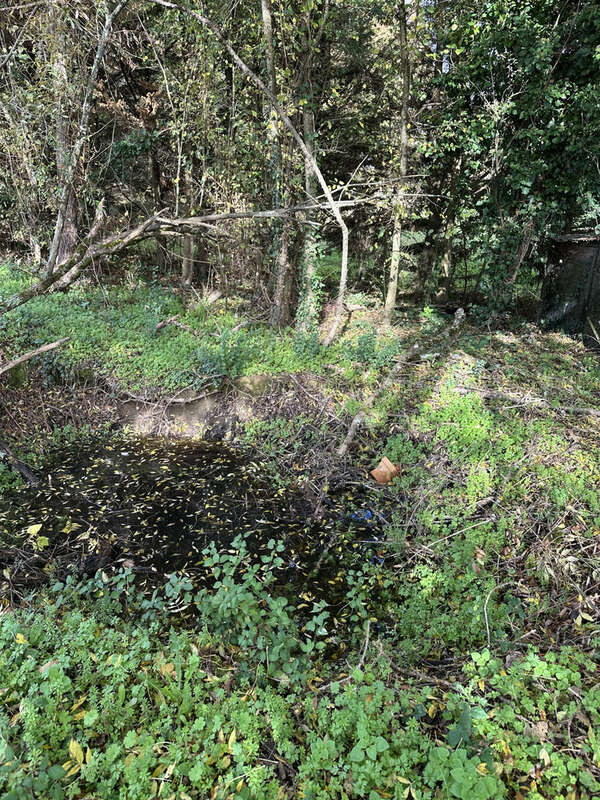 Terrain à MONTGUYON