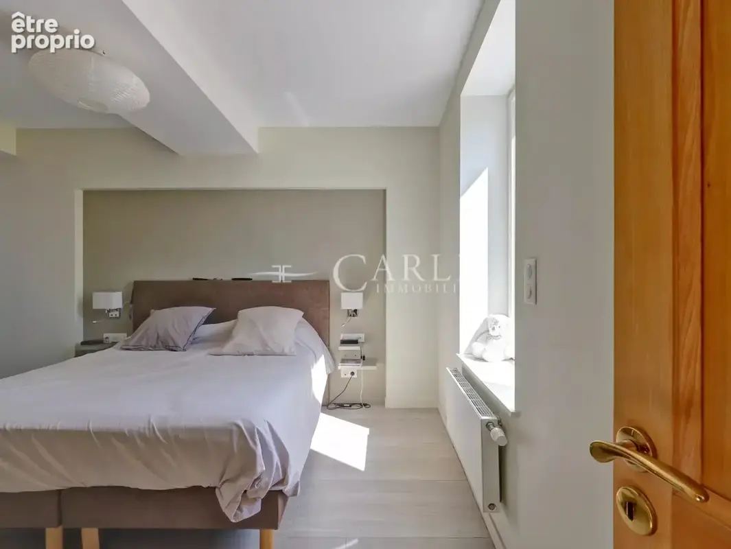 Propriété familiale sur Manissieux - photo 10