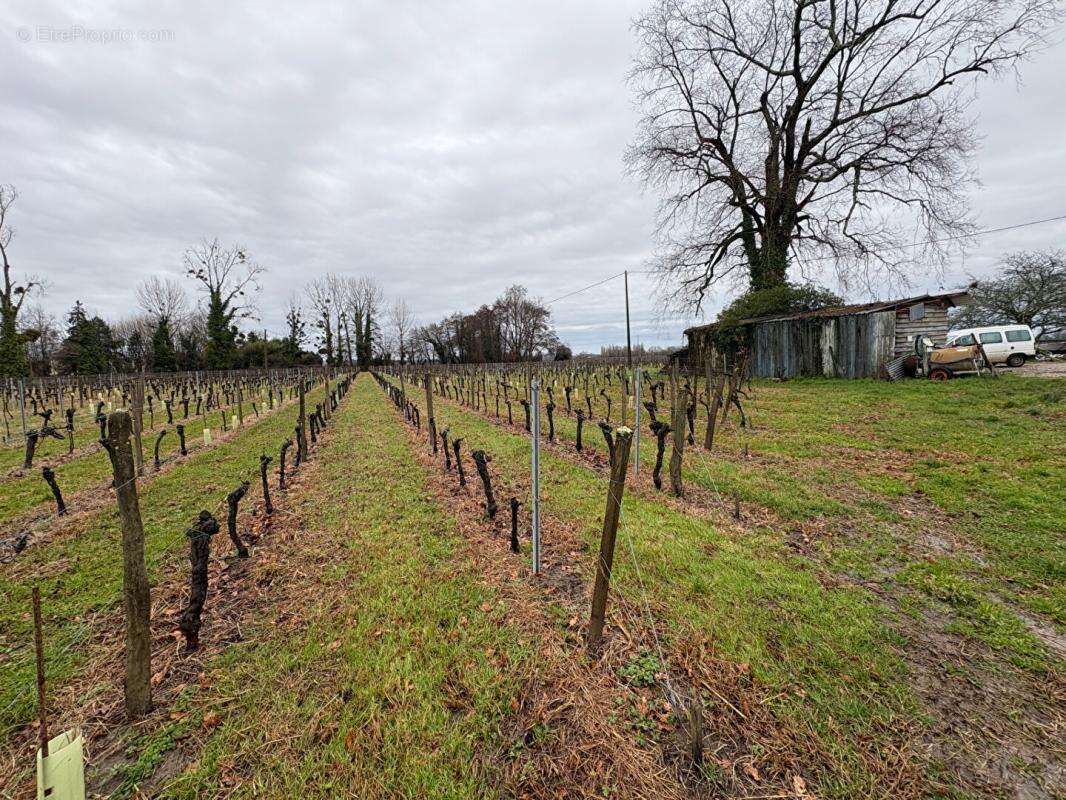 RARE : Devenez propriétaire de votre "Micro-Château" en AOC Saint-Émilion - photo 11