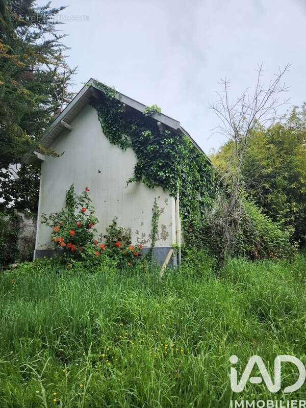 Photo 2 - Maison à MAUVES-SUR-LOIRE