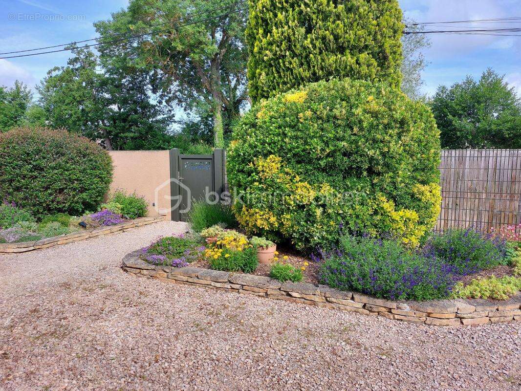 Maison à VILLENEUVE-TOLOSANE