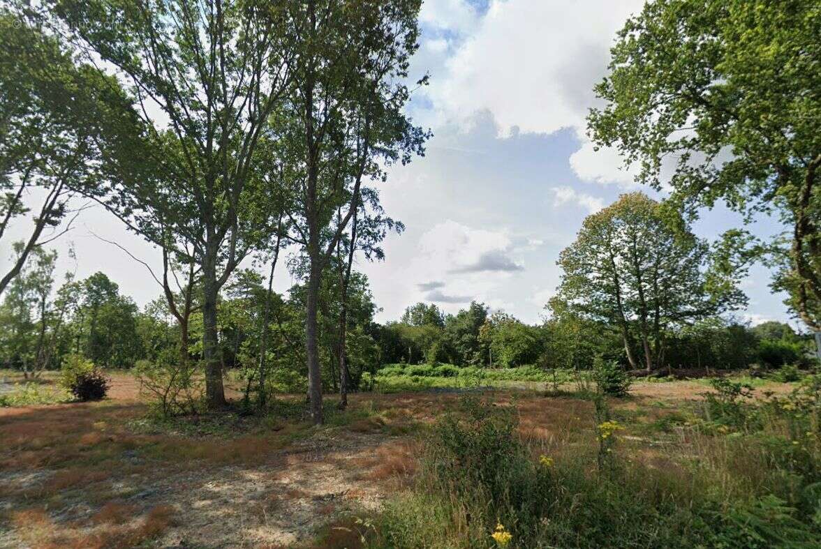 Terrain à VIGNEUX-DE-BRETAGNE