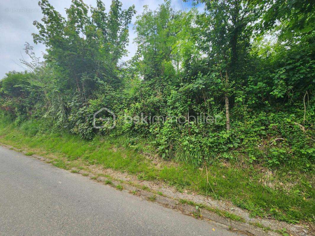 Terrain à MARLES-SUR-CANCHE