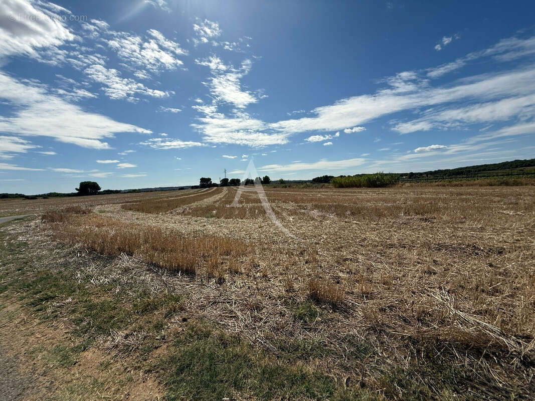 Terrain à MONTAGNAC