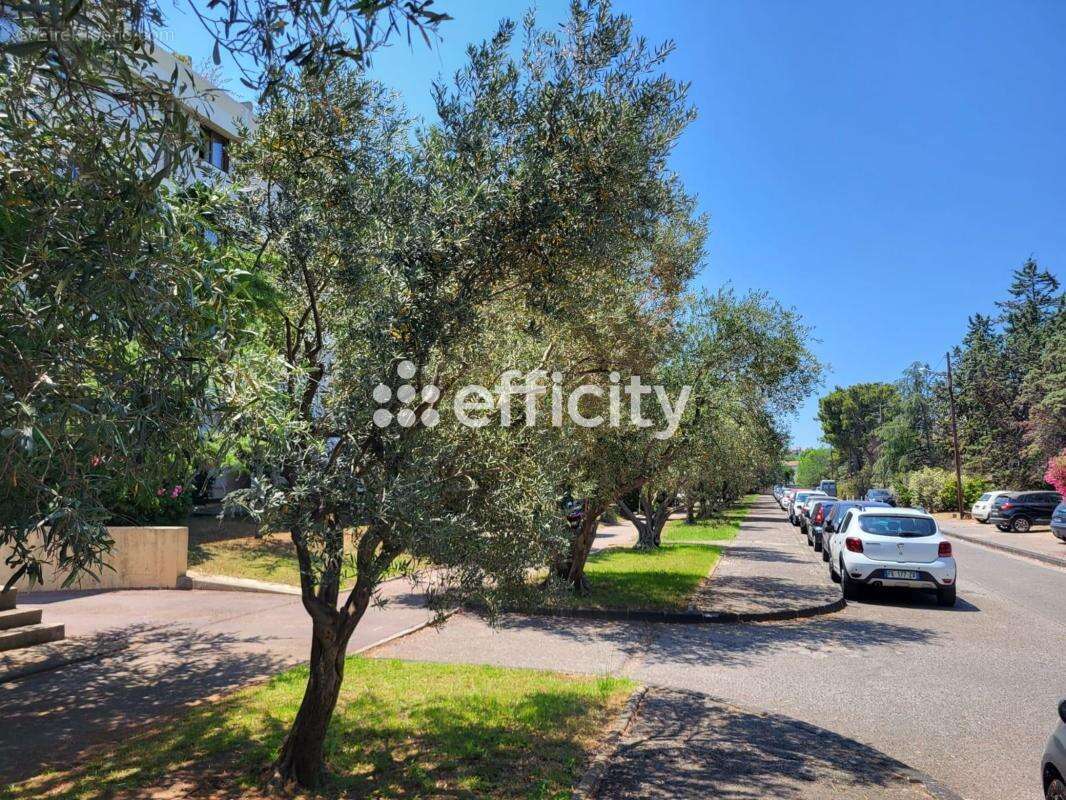 Appartement à MARSEILLE-8E