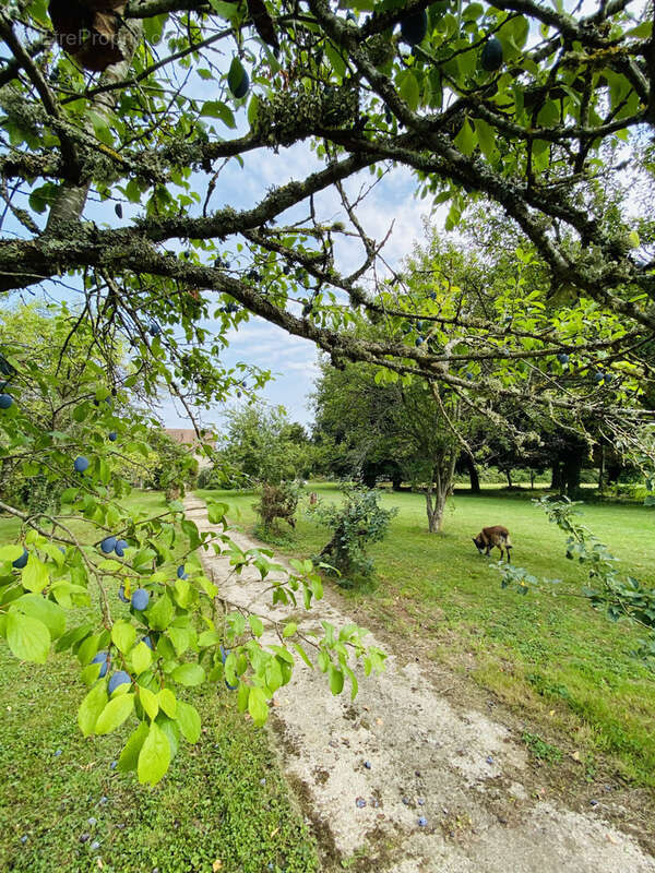 Terrain à VILLEBLEVIN