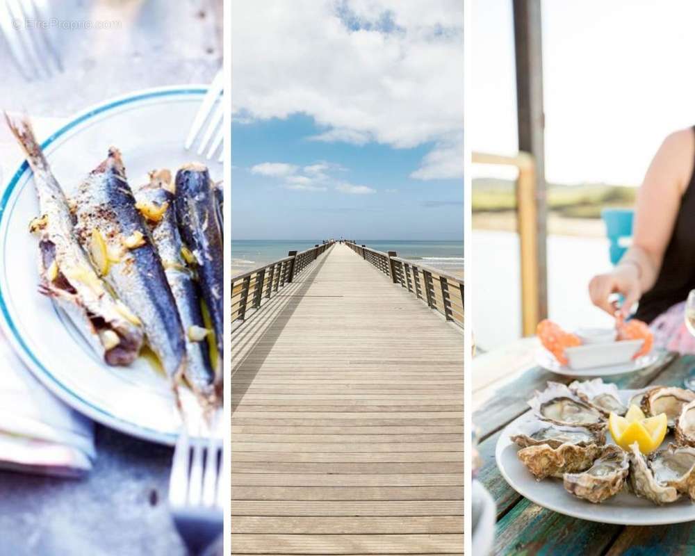 Maison à SAINT-GILLES-CROIX-DE-VIE