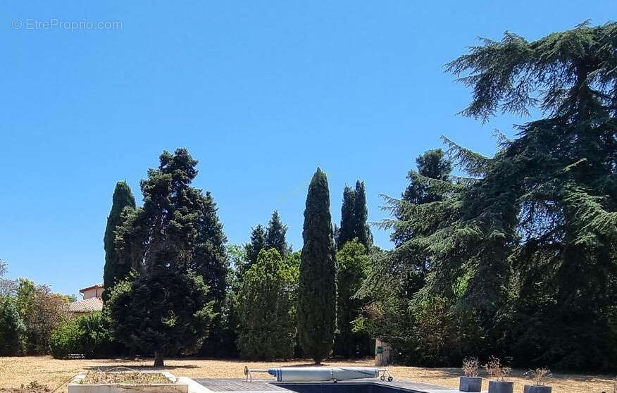 Grand Terrain constructible  - Toulouse Saint Simon - photo 2