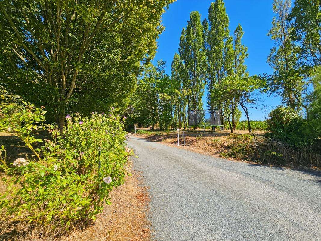 Bellevigne-en-Layon - Propriété de 250 m²  - 2 habitations - Piscine chauffée - Plus d'1 hectare de terrain - photo 2
