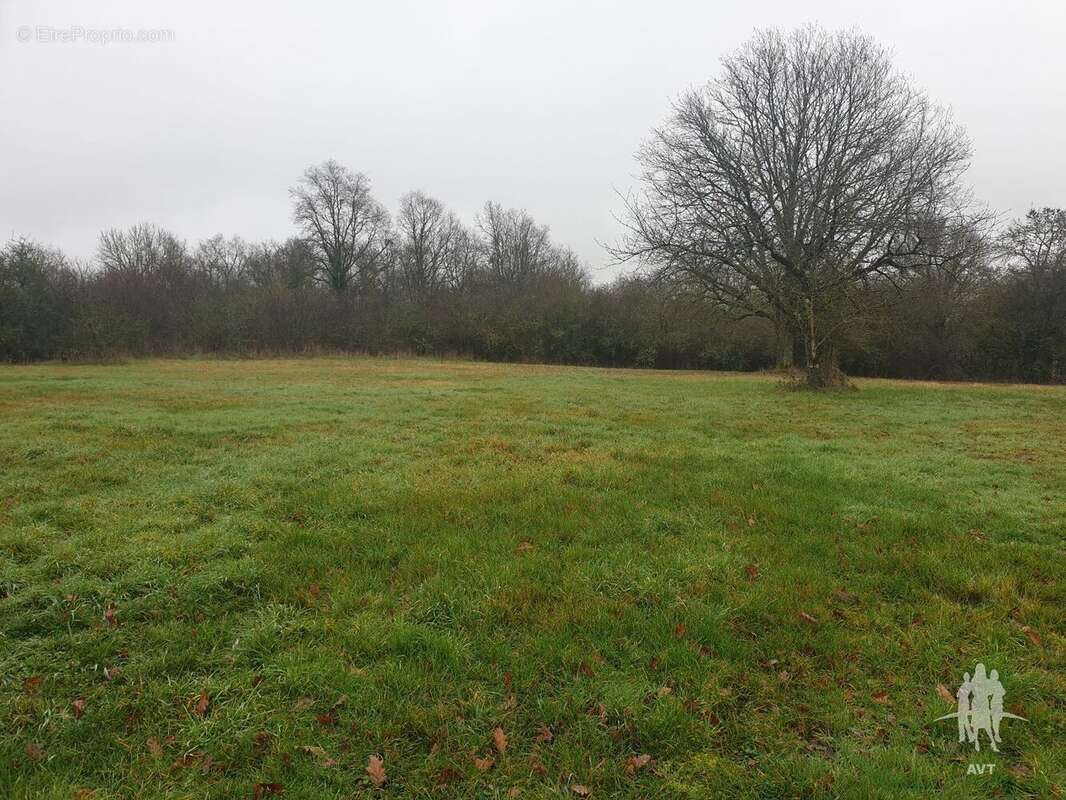 Terrain 2651 m² à Auzouer-En-Touraine  - photo 17