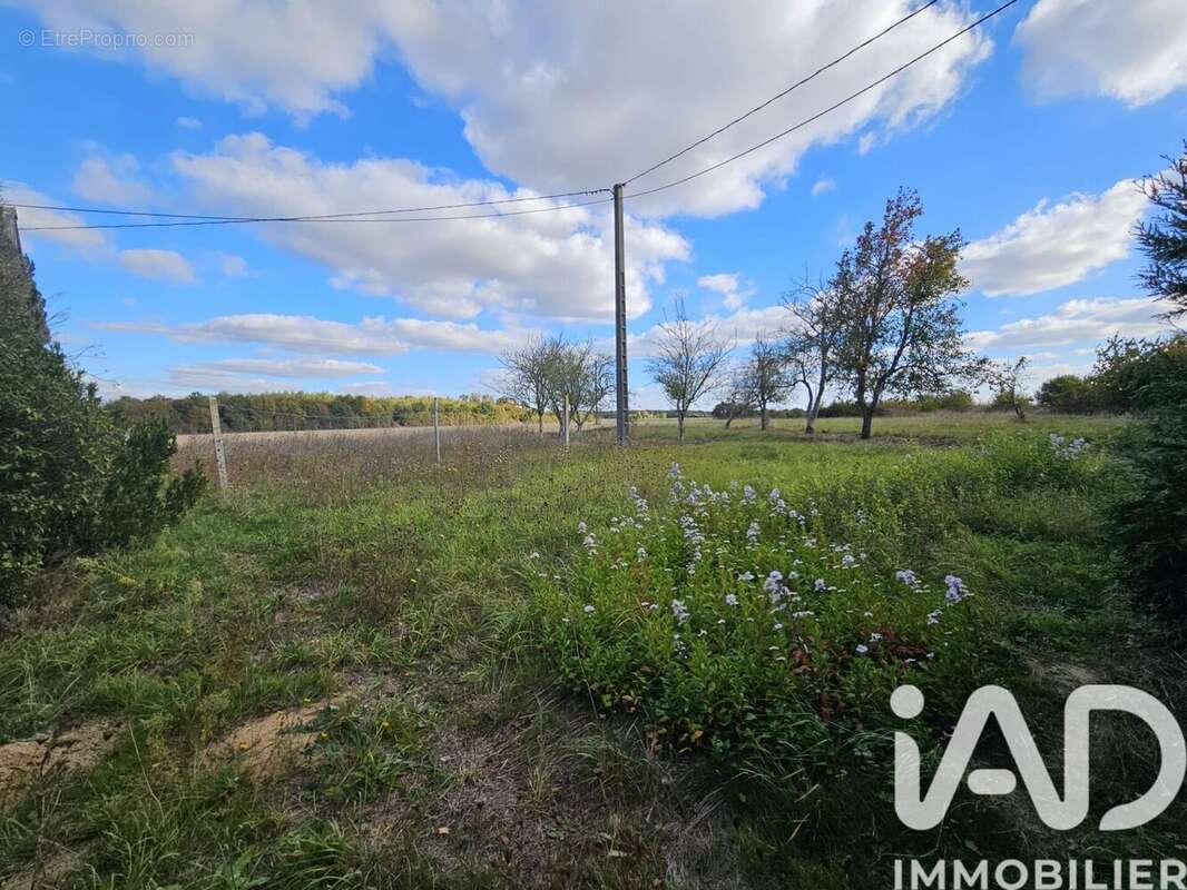 Photo 5 - Maison à BUEIL-EN-TOURAINE