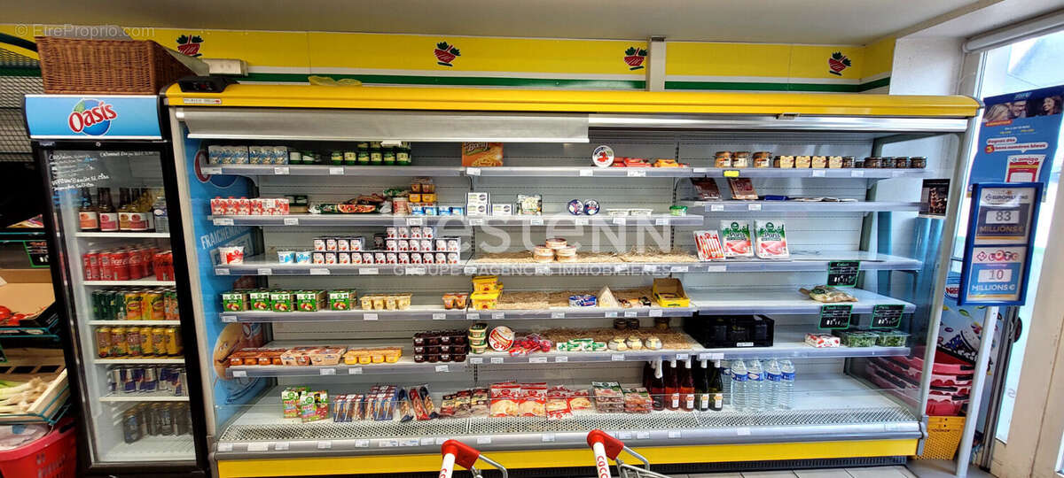 Épicerie / Alimentation générale - Emplacement N°1 - Axe touristique Zoo de Beauval - photo 7