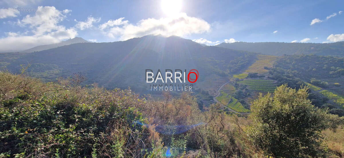 Terrain à COLLIOURE