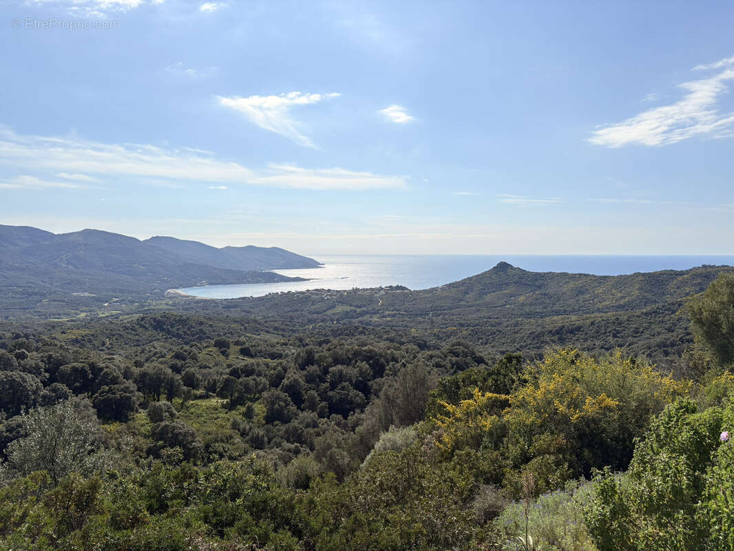 Terrain à CASAGLIONE