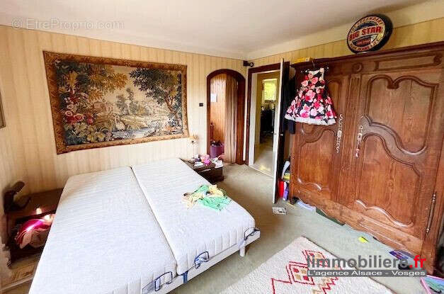 Maison 287 m² à Sainte-Marie-Aux-Mines  - photo 8