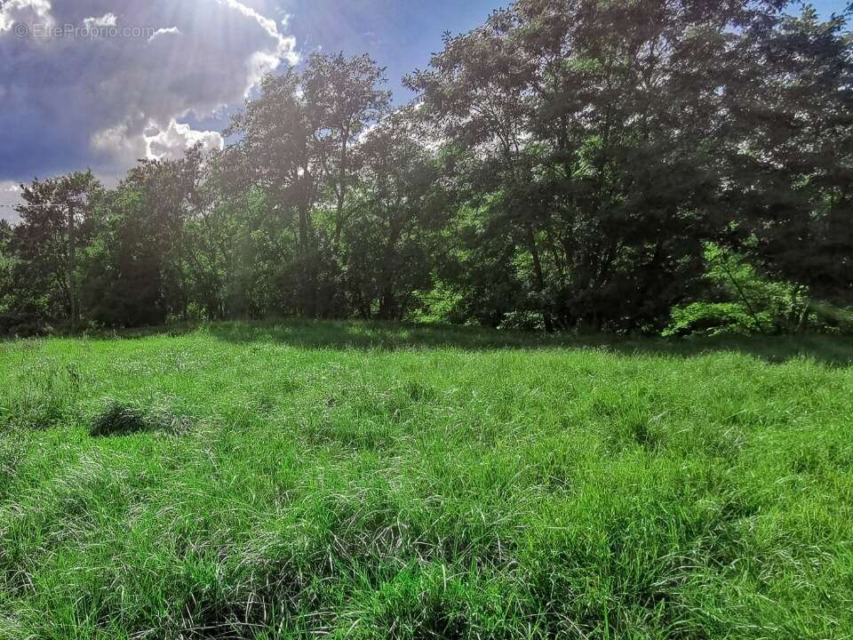 Terrain à RIANS
