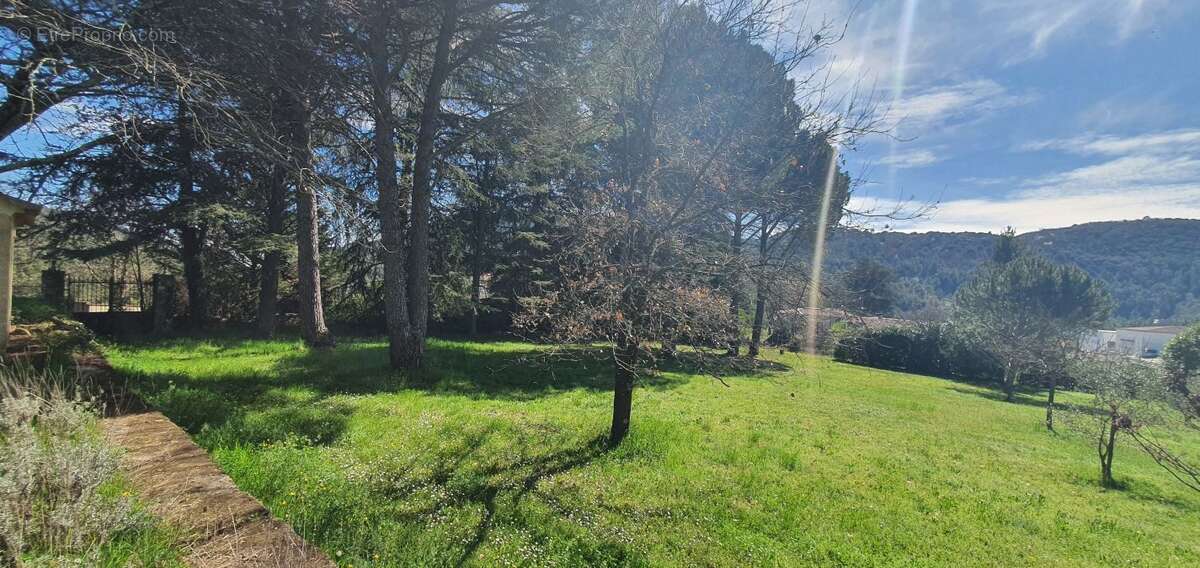 Terrain à SAINT-FLORENT-SUR-AUZONNET