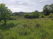 Photo 1 - Terrain à FLASSANS-SUR-ISSOLE