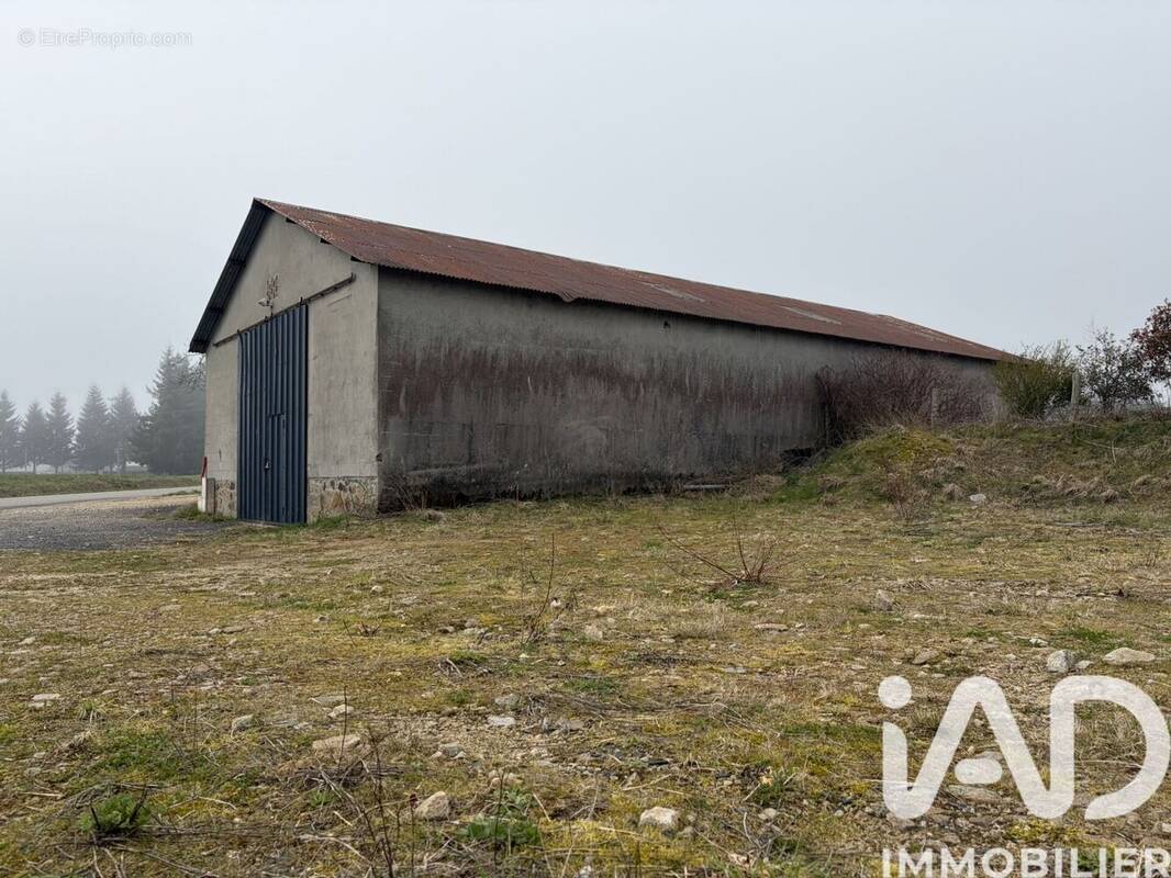 Photo 1 - Terrain à RIEUPEYROUX