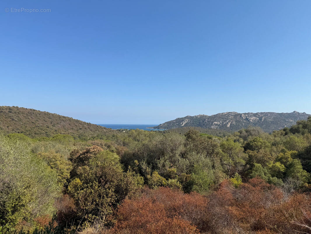 Terrain à PORTO-VECCHIO