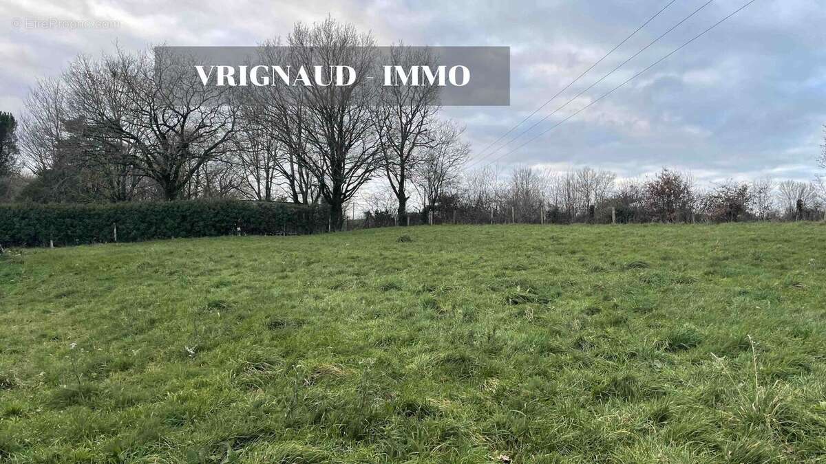 Terrain à LES HERBIERS