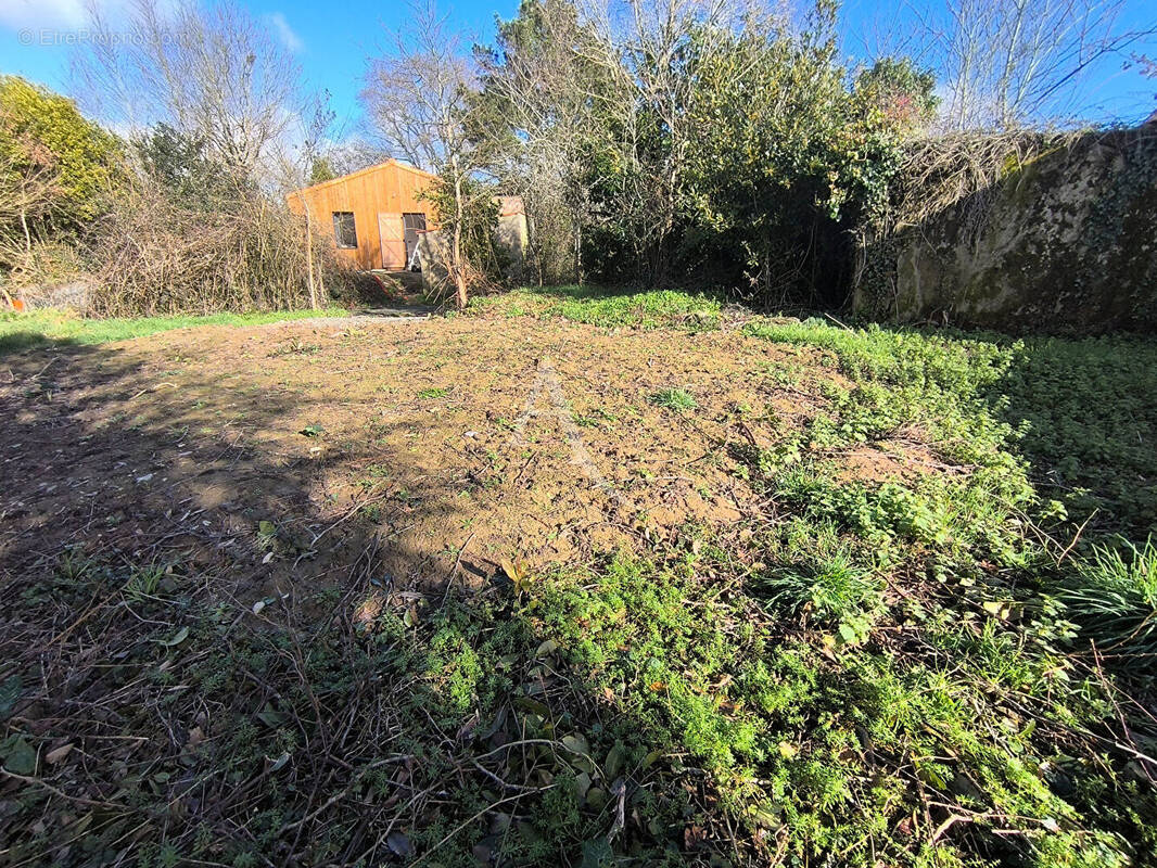 Terrain à AVRILLE
