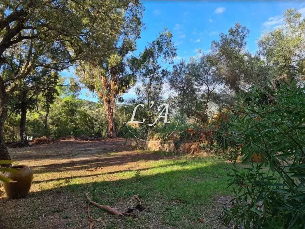 Maison à SARI-SOLENZARA