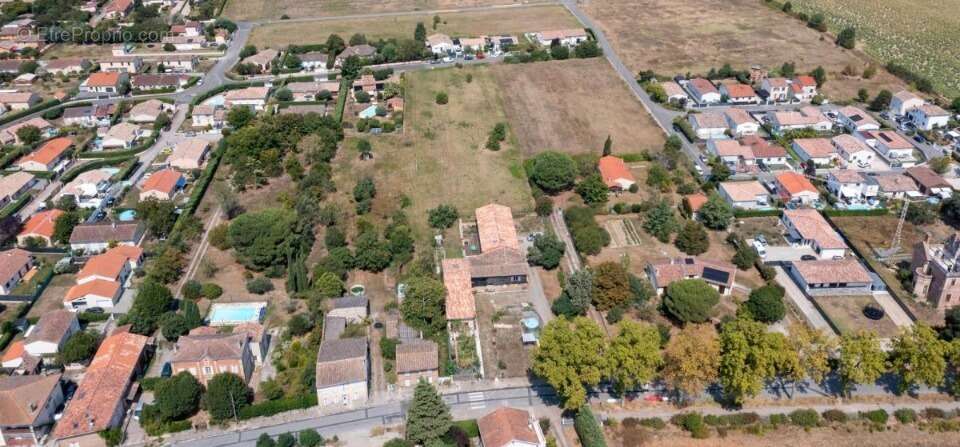 Terrain 454 m² à Ondes  - photo 3
