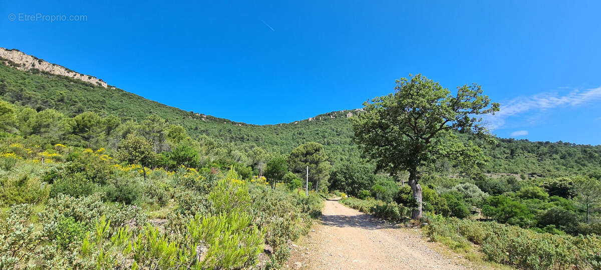 Terrain à CUERS