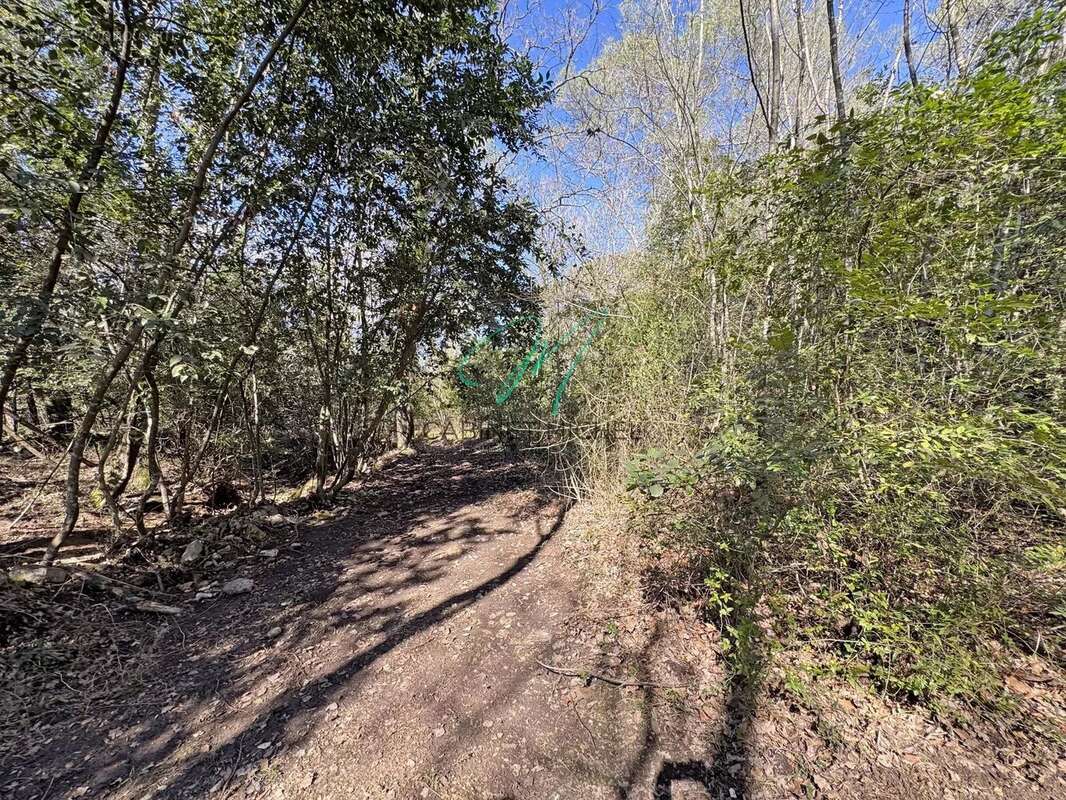 Terrain à LE ROURET