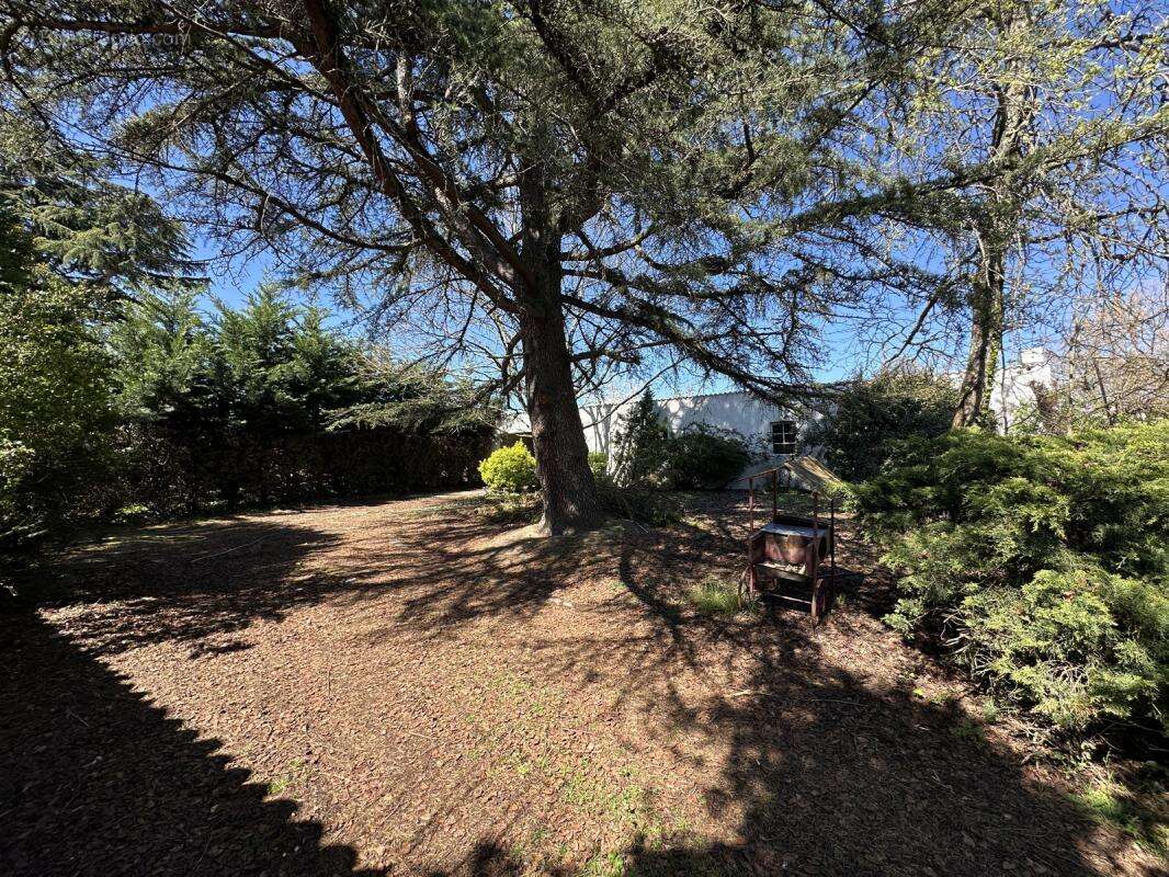 Maison à CARBON-BLANC