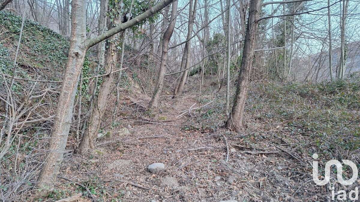 Photo 6 - Terrain à PRATS-DE-MOLLO-LA-PRESTE