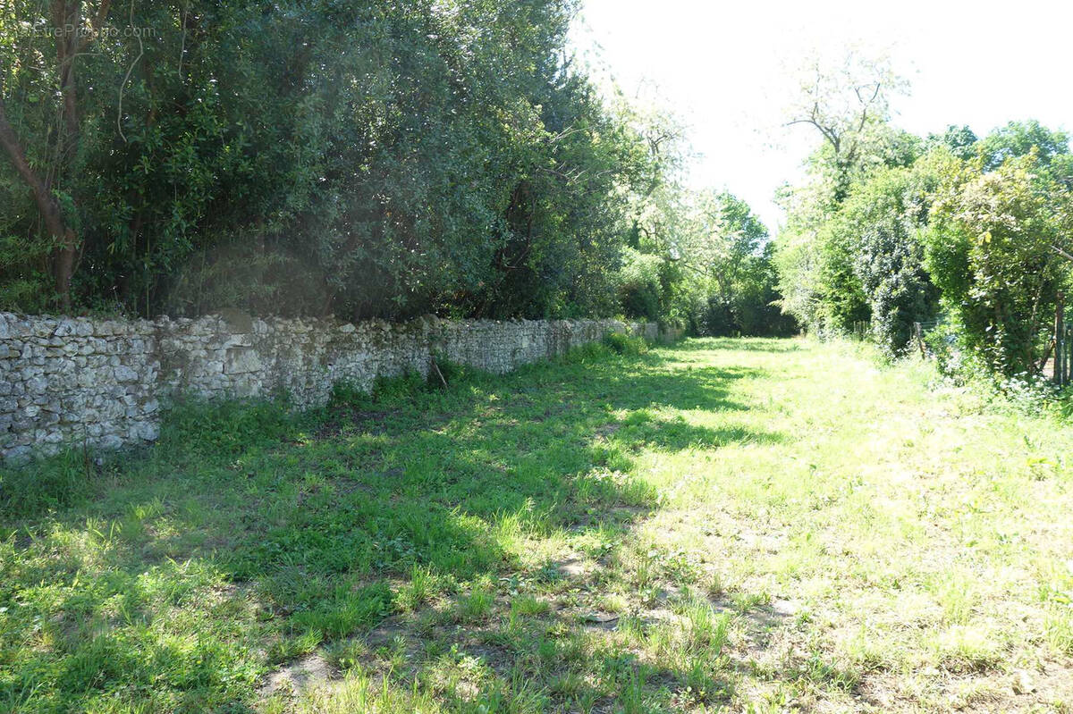 Terrain à SAINT-CHRISTOLY-DE-BLAYE