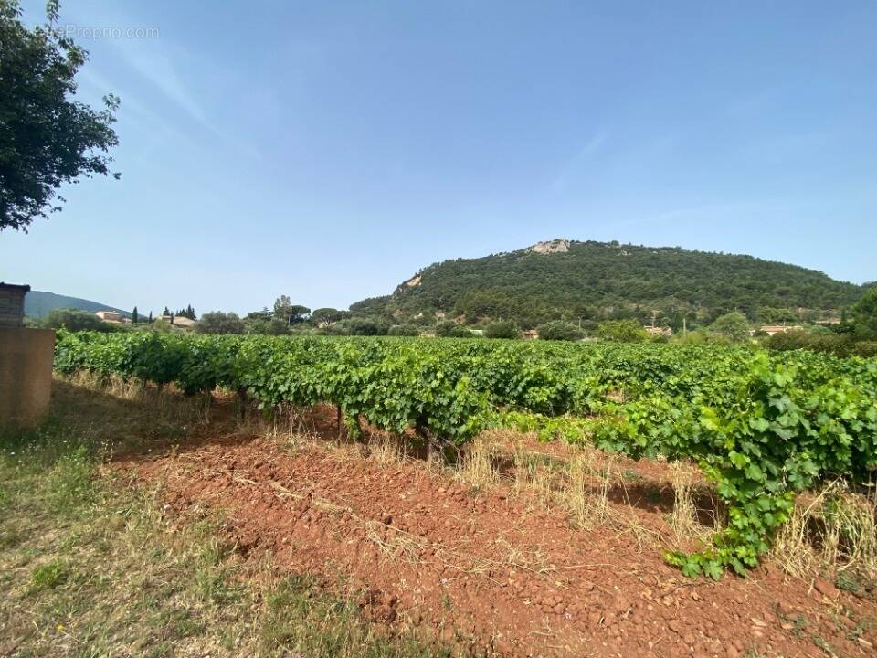 Terrain à GONFARON