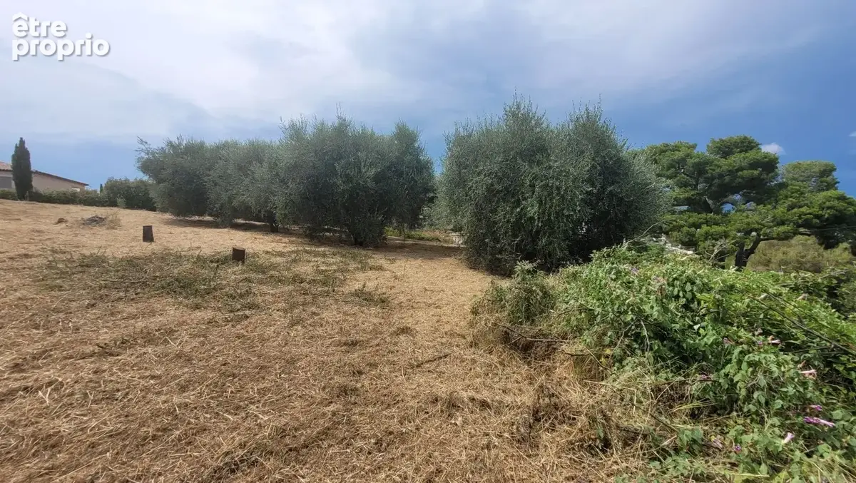 Terrain à bâtir de 856 m² à SAINT-LAURENT-DU-VAR (06) - photo 6