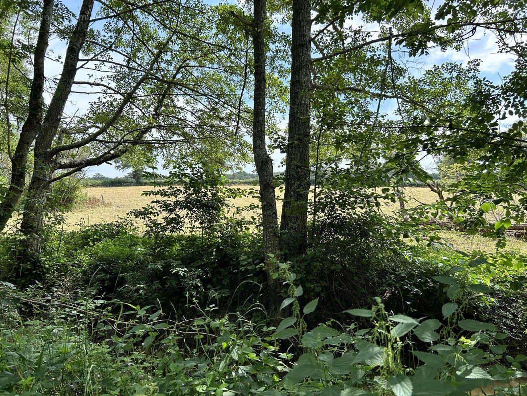 Ancien Moulin à Lignac  -  Propriété sans vis à vis de 249m2 habitables  au coeur de 4 hectares de nature - photo 20