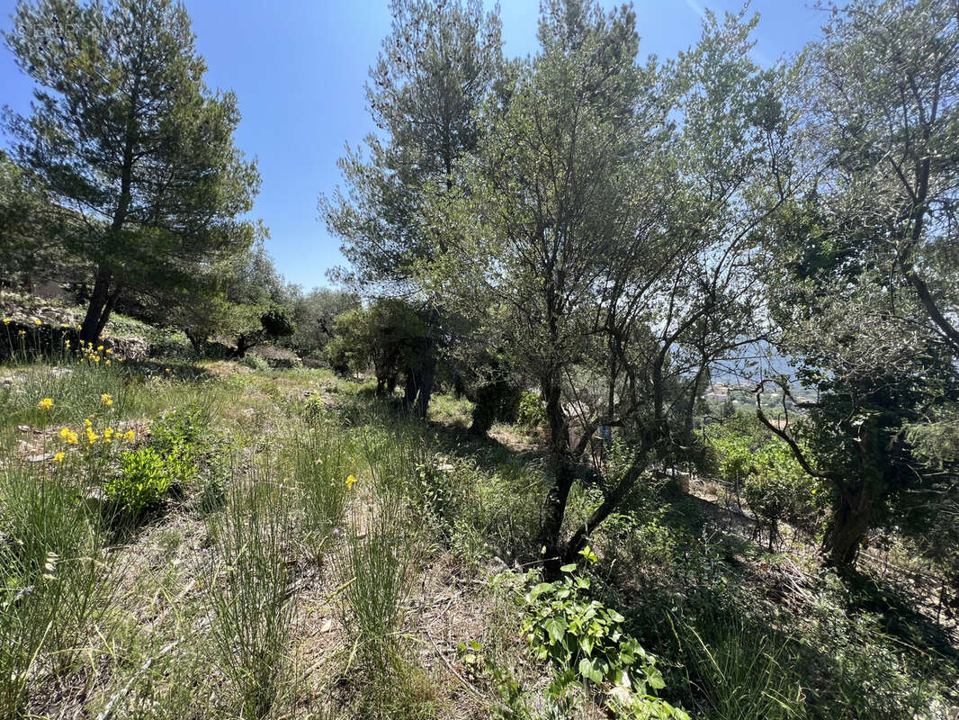 Terrain à TOURRETTE-LEVENS