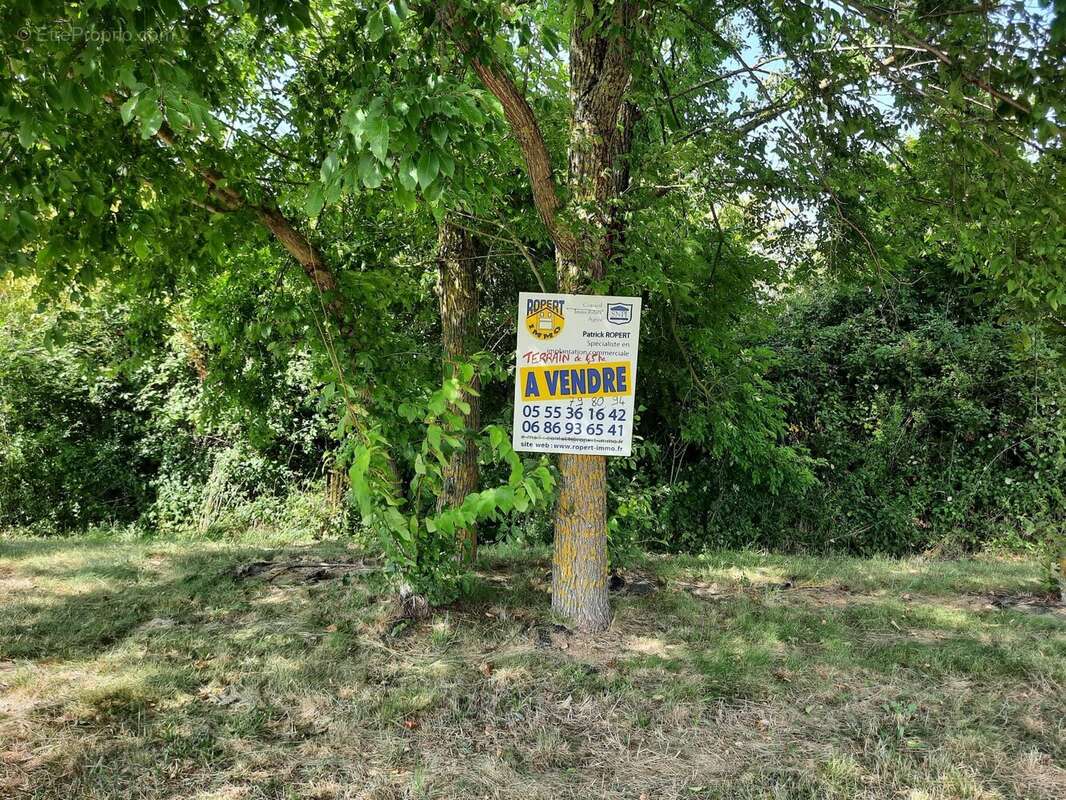 Terrain à PEYRAT-DE-BELLAC