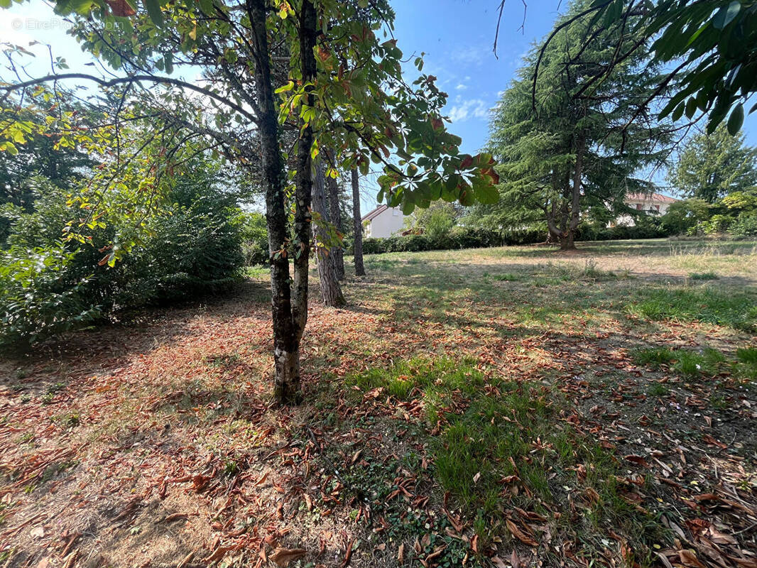 Terrain à SAINT-BENOIT