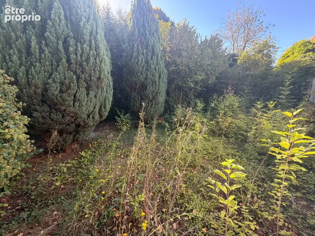 Terrain 574 m² à vendre à Bertangles (80260) - photo 5